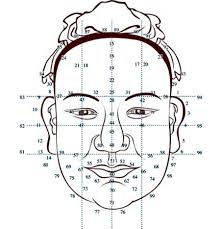 Face Reading Specialist